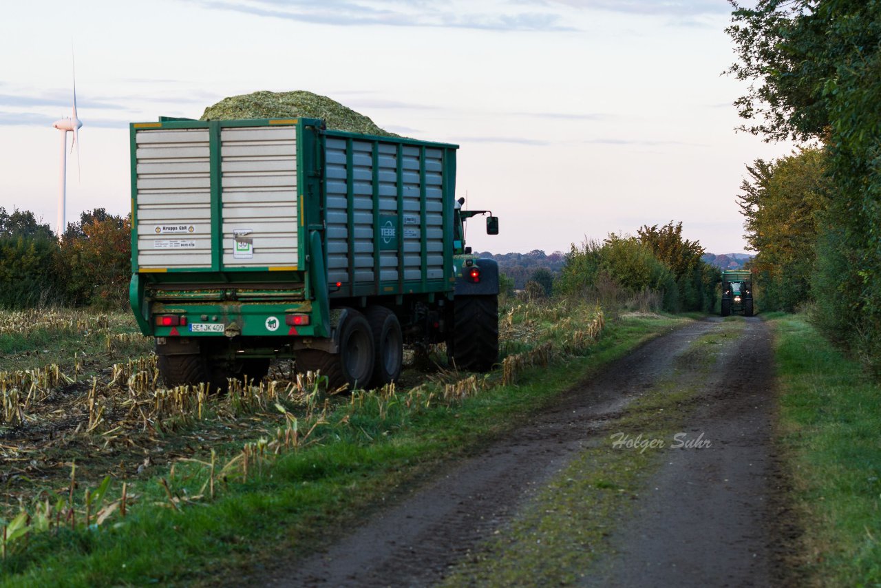 Bild 25 - Maisernte am 11.10.12